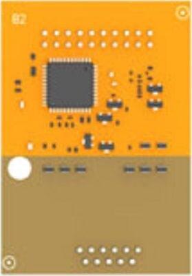 Yeastar B2 Module